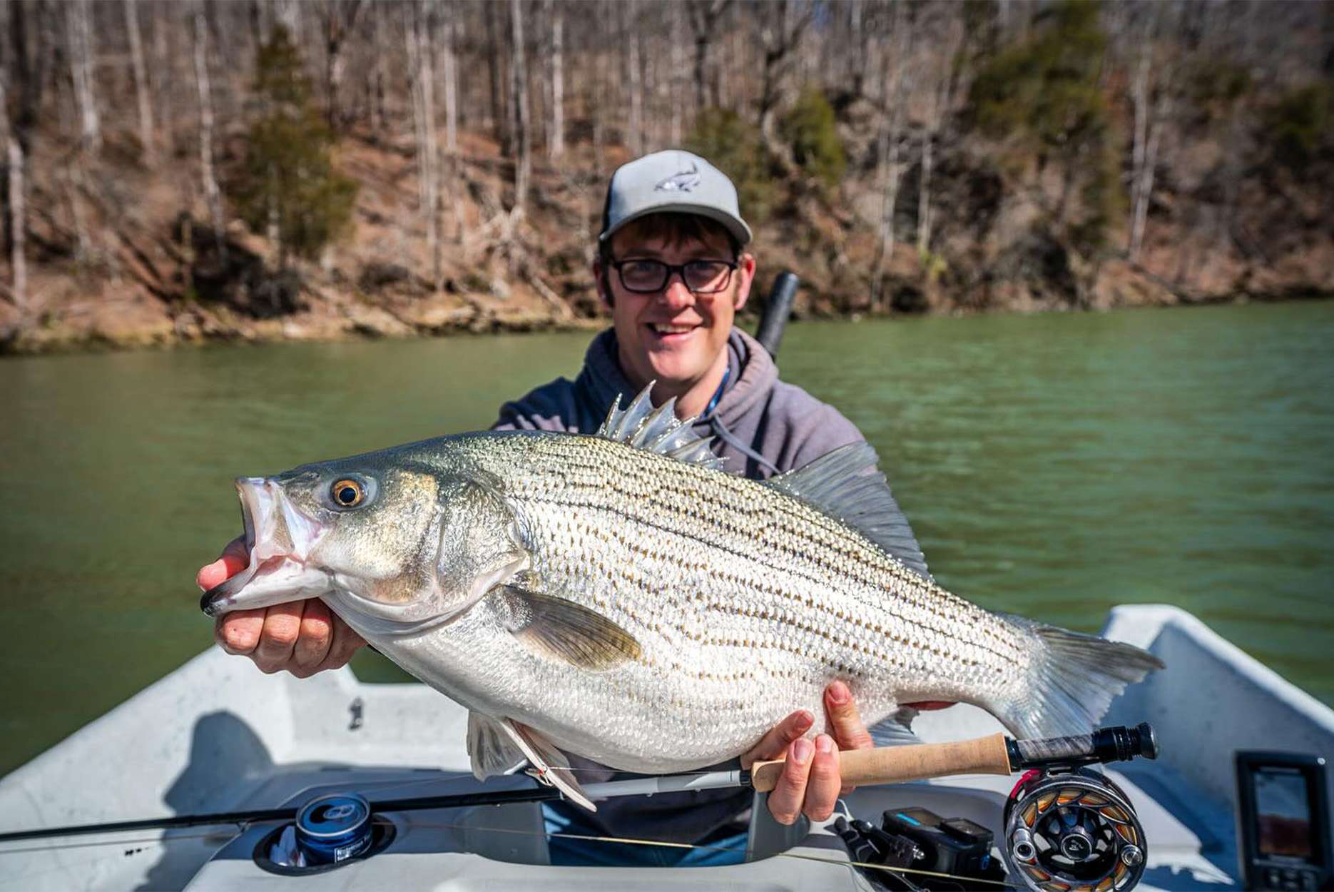 Watch: Giant Hybrid Bass Caught on Fly Could Set a New World Record - Muddy  Country Radio